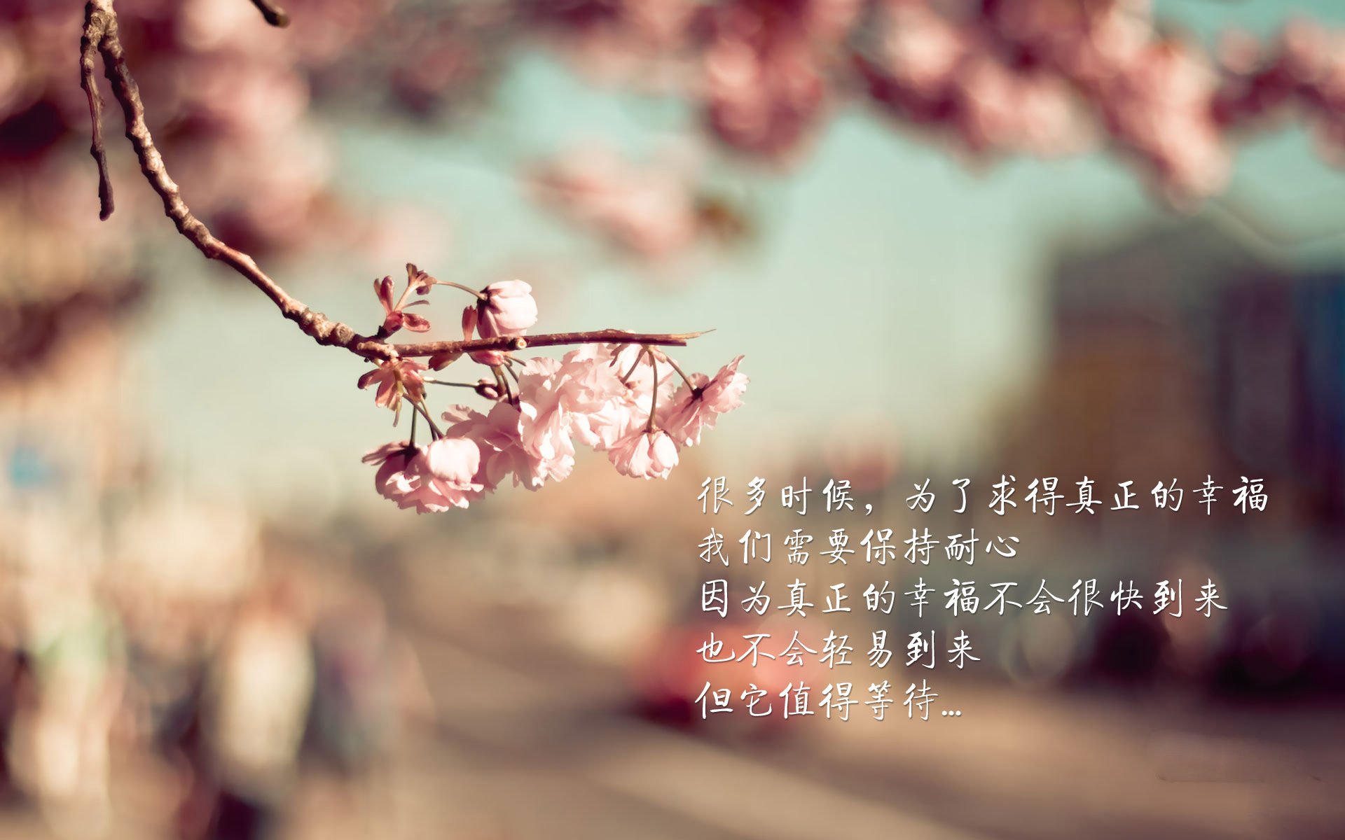 NBA季后赛焦点战,尼日利亚闪电终结土耳其悬念