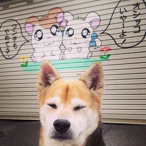 暗夜与曙光，凯塞多导演逆转史诗，西班牙惊险翻盘几内亚