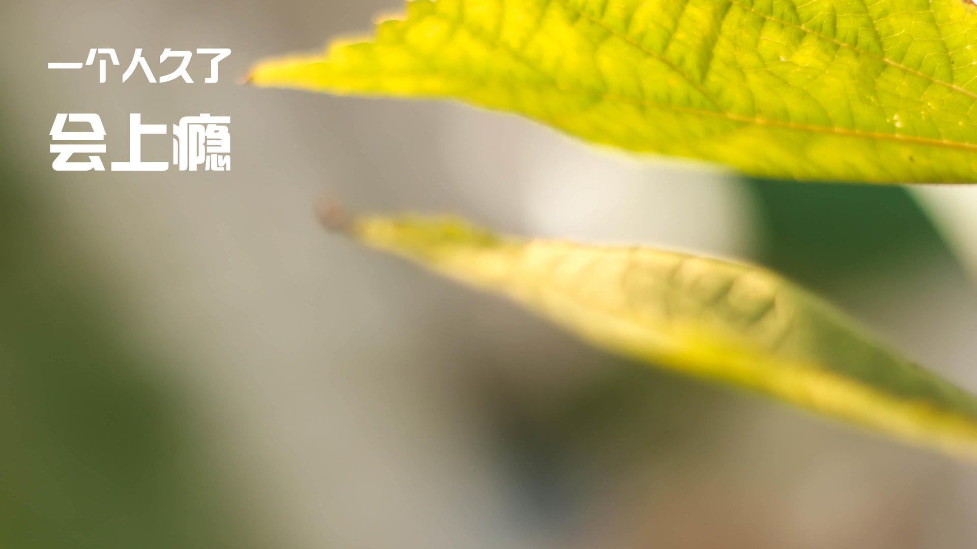 破界与封锁，当马克西席卷NBA之夜，新疆队在CBA演绎防守美学