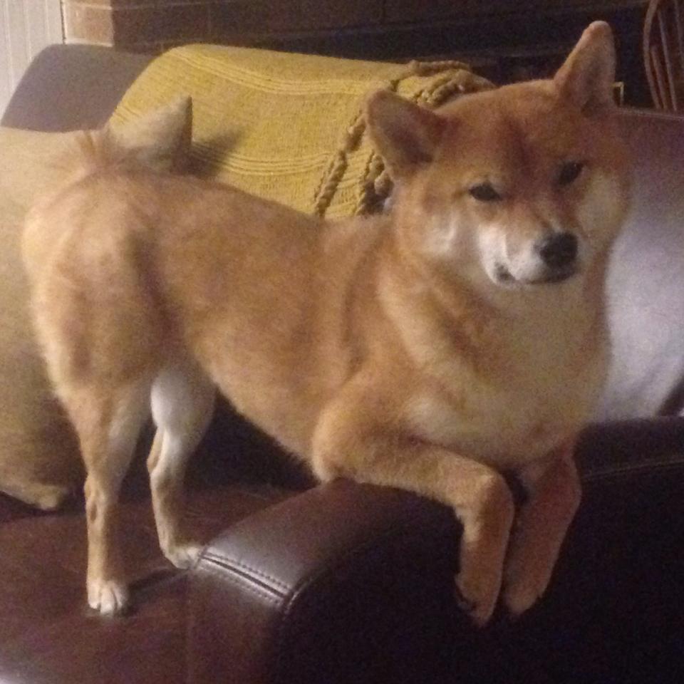 一场比赛,两段传奇,当蒂亚戈写下历史,罗马打穿韩国