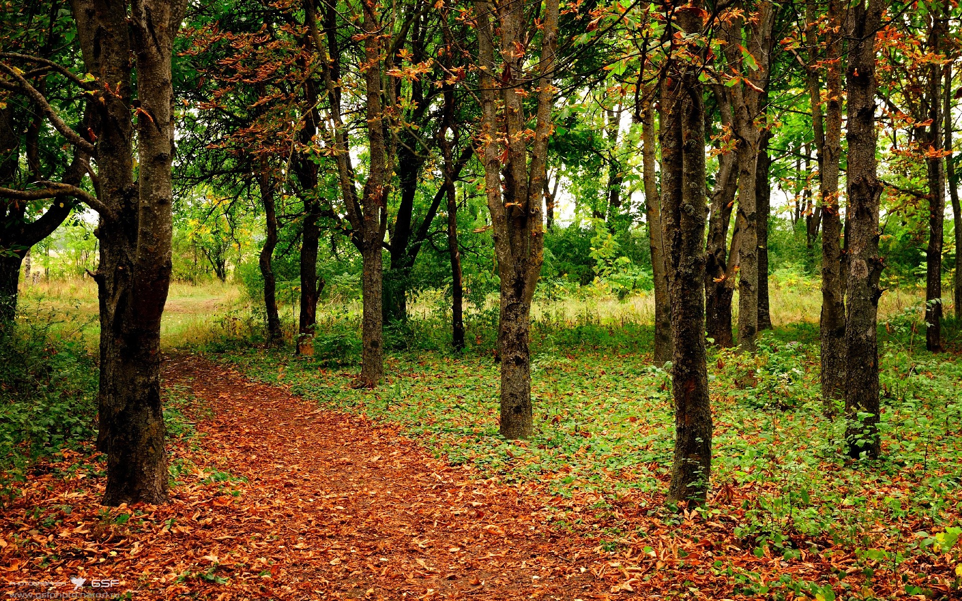 唯一性,当加纳巨人终结神话,莫德里奇于无声处听惊雷