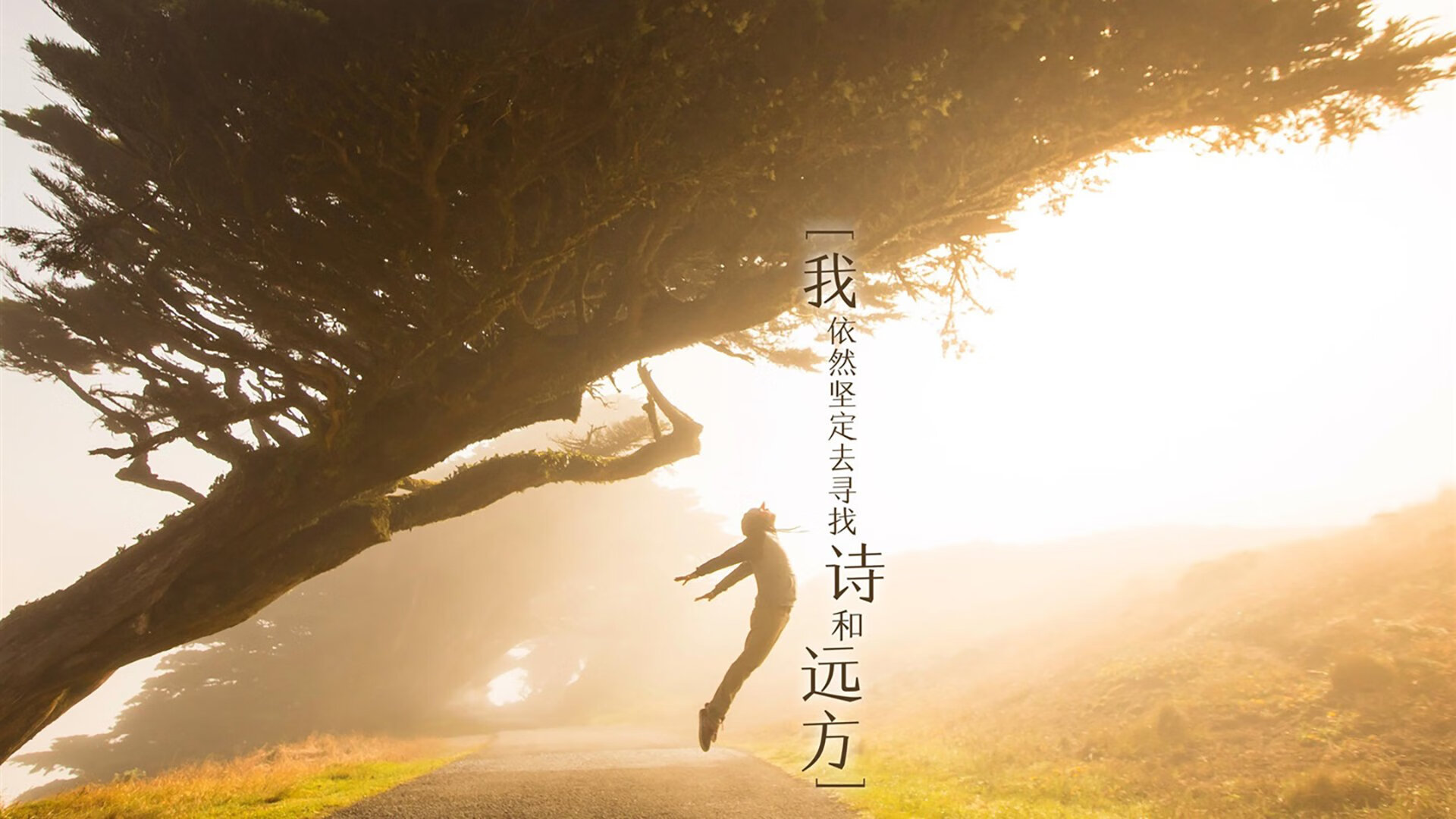 绿茵赛道，当马竞在F1式加时中超越塞内加尔