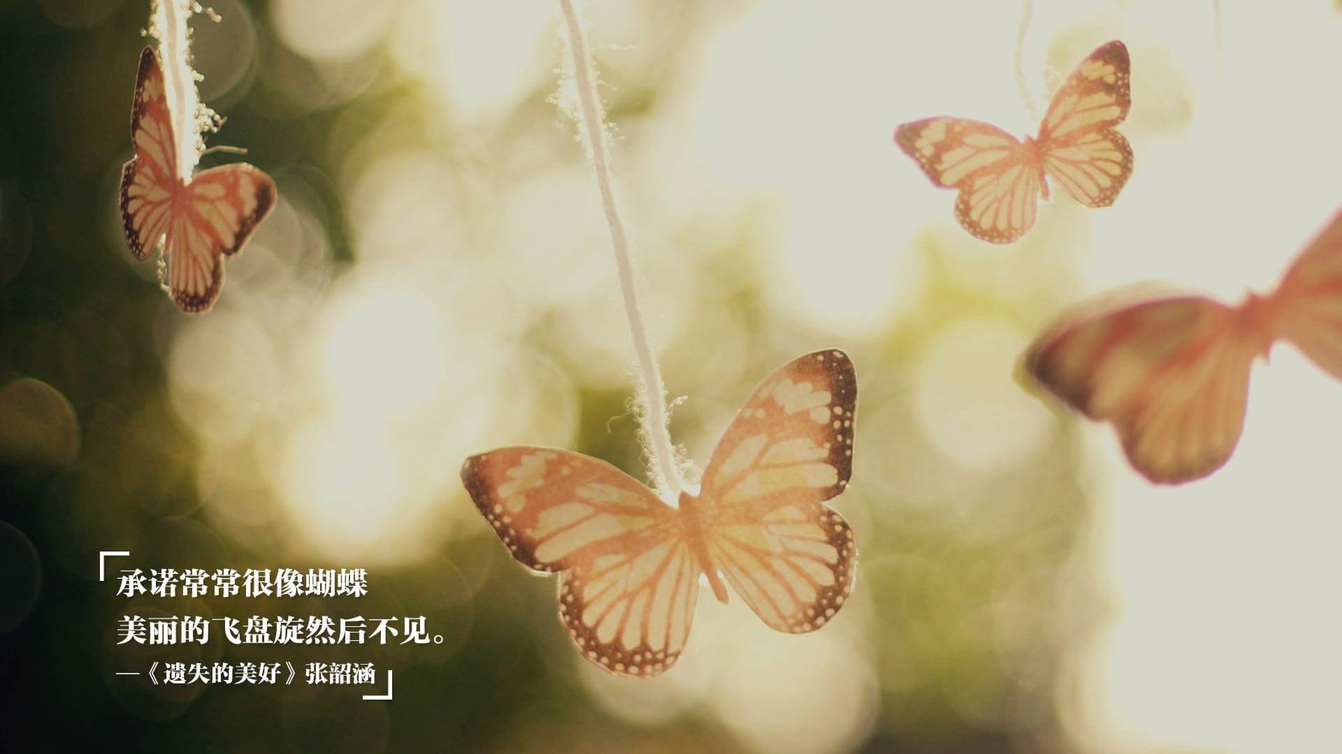 雪豹对决烈焰，东契奇70+三双让友谊赛变独角戏