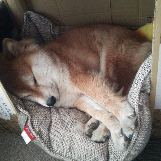 虚拟绿茵，卡塔尔全明星电竞队如何在那不勒斯主场抢七封神