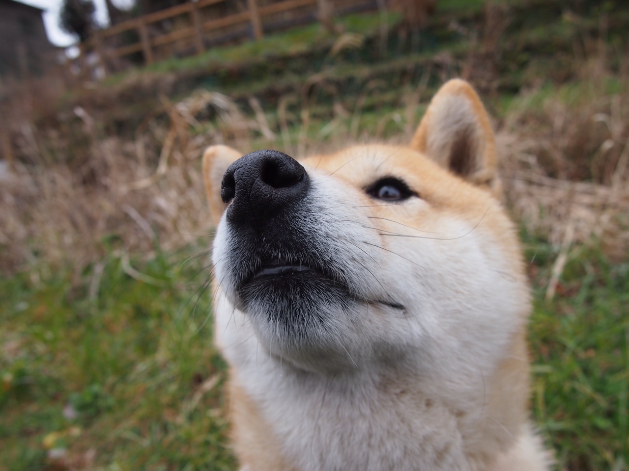 从维也纳到苏黎世，当瑞士拉什福德在边境线闪光