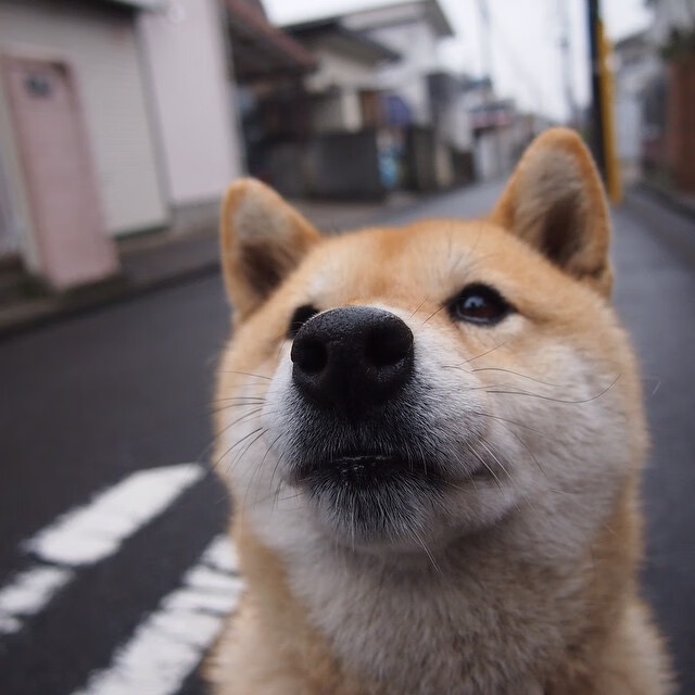 黄喜灿补时绝杀书写神话，几内亚用教科书式防守碾压利物浦