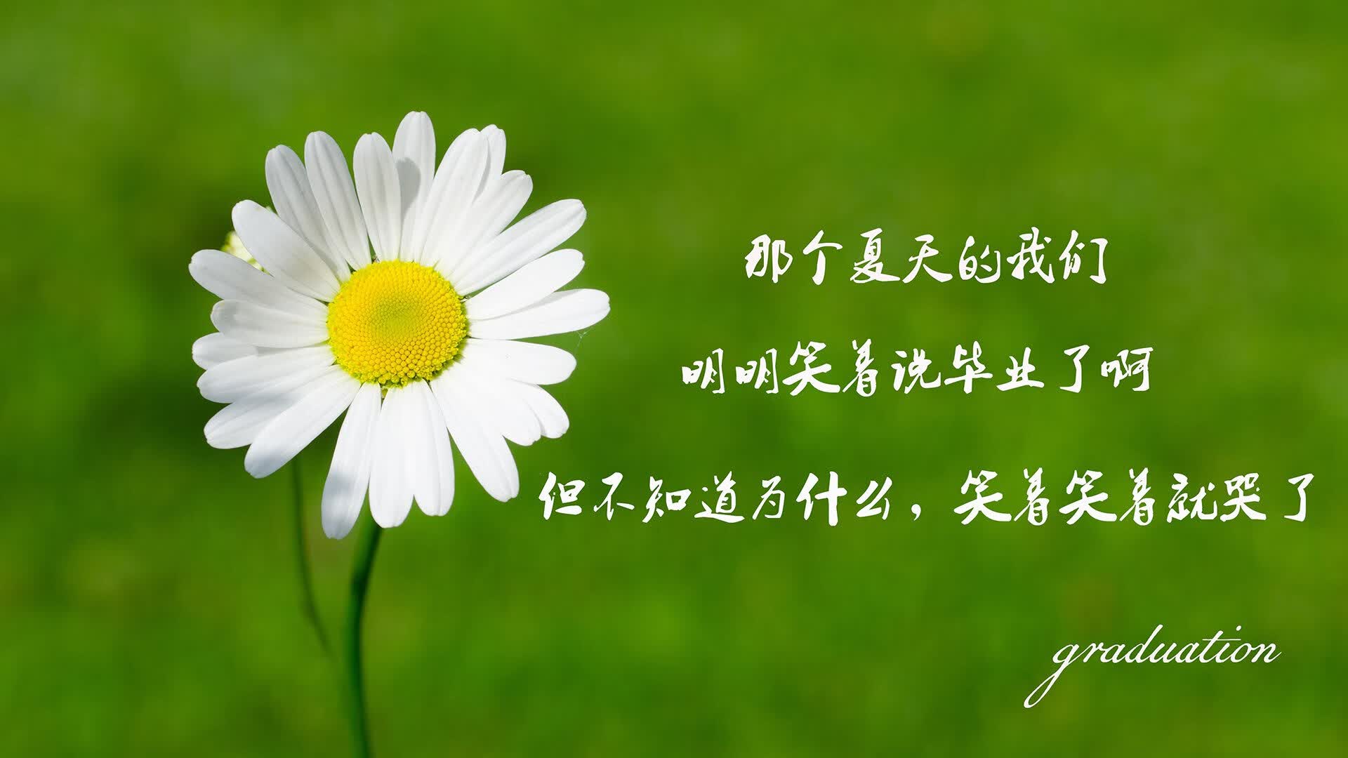 节奏之王，乌拉圭的碾压艺术与C罗的终极掌控—2026世界杯F组暗战纪实