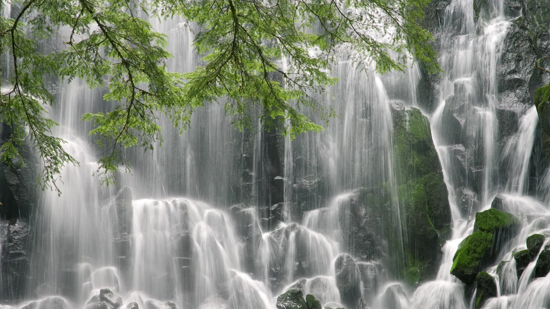 雷火电竞官网-佩德里执刃，智利闪电战刺穿非洲雄狮—2026世界杯出线战中的那一抹惊鸿